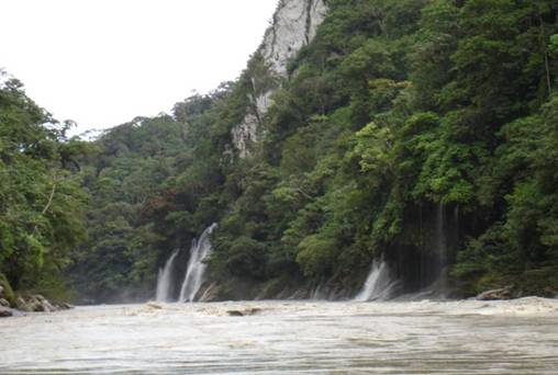 las  variedades  de  quillabamba